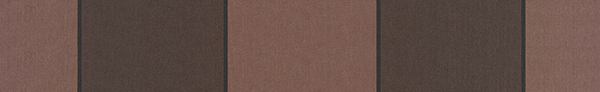 T252 Taupe Bruin
